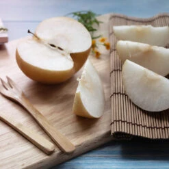 20th Century (Nijisseiki) Asian Pear -Lanscapes Store 20thCentury Pear 1 FGT