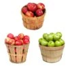 3-in-1 Apple Tree 2 3-in-1 Apple Tree -Lanscapes Store 3 in 1 Apple 600x600 9edf9e9a ce86 4b58 beb9 2946adf65064