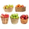 5-in-1 Apple Tree -Lanscapes Store 5 in 1 Apple 600x600 7aa95aa9 ebc1 4f49 a1e8 94e9b1d7155c