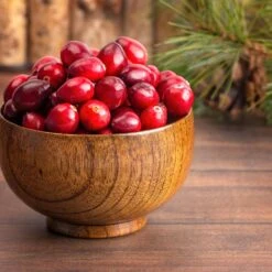 American Cranberry -Lanscapes Store American Cranberry 6 FGT