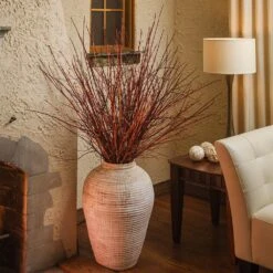 Arctic Fire® Red Twig Dogwood -Lanscapes Store Arctic Fire Twig Dogwood 6 FGT