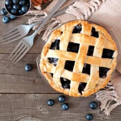 Aurora Blueberry Bush -Lanscapes Store Aurora Blueberry 5