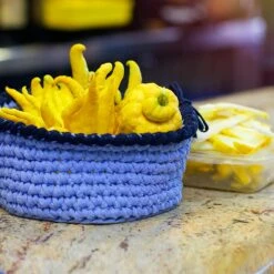 Buddha's Hand Citron Tree -Lanscapes Store BUddhas Hand Citrus 6 FGT 8e440ac0 ef1a 452e 8576 5c1e7bf4eb5a