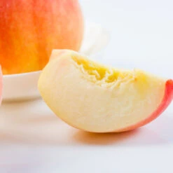 Belle Of Georgia Peach Tree -Lanscapes Store Belle of Georgia 3 ea75db8c 1c8e 47c4 9aac 3f7fe043655e