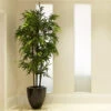 Black Bamboo -Lanscapes Store Black Bamboo FGT 600x600 04de0fc5 1b5b 4ead b329 04b366290ad6