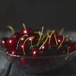 Black Tartarian Cherry Tree 10 Black Tartarian Cherry Tree -Lanscapes Store Black Tartarian Cherry Tree 2 FGT