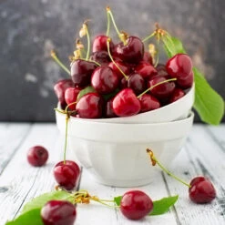 Brooks Cherry Tree -Lanscapes Store Brooks Cherry Tree 5 FGT