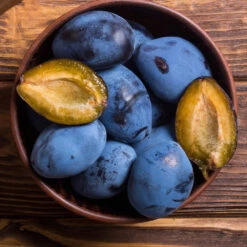 Brooks Plum Tree 11 Brooks Plum Tree -Lanscapes Store Brooks Plum 2