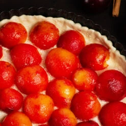 Bubblegum 'Toka' Plum Tree 11 Bubblegum 'Toka' Plum Tree -Lanscapes Store Bubblegum Toka Plum 3