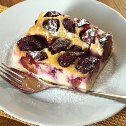 Burgundy Plum Tree 11 Burgundy Plum Tree -Lanscapes Store Burgundy Plum 3