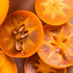 Chocolate Persimmon Tree -Lanscapes Store CHocolate Persimmon 2