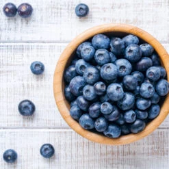 Climax Blueberry - USDA Organic -Lanscapes Store Climax Blueberry 4 6dff9fe5 d11c 4867 ac6f bf49cd37acb5