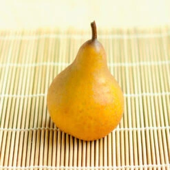 Comice Pear Tree -Lanscapes Store Comice Pear 2 FGT