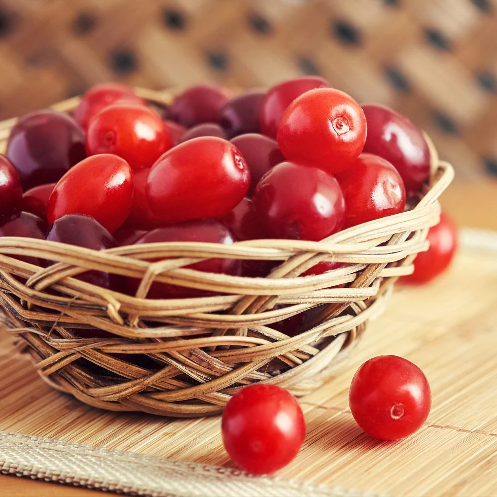 Cornelian Cherry Dogwood Tree 6 Cornelian Cherry Dogwood Tree - Image 4