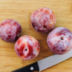 Dapple Dandy Pluot Tree -Lanscapes Store Dapple Dandy 2