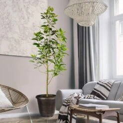 Lanscapes Store -Lanscapes Store Day Condo Avocado 3