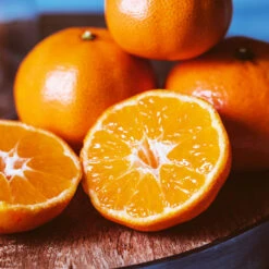 EasyPeel Clementine Tree 8 EasyPeel Clementine Tree -Lanscapes Store Easy Peel Clementine 4 FGT