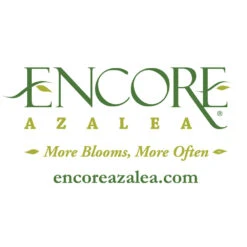 Autumn Belle® Encore® Azalea Shrub -Lanscapes Store Encore Logo 1000x1000 f5ab977c d52a 42c7 bcc7 eb2c9ea0b488