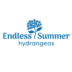 Endless Summer® Summer Crush® Hydrangea -Lanscapes Store Endless Summer Hydrangeas 1000x1000 347a4889 45a5 42f4 94f1 e0220955e380