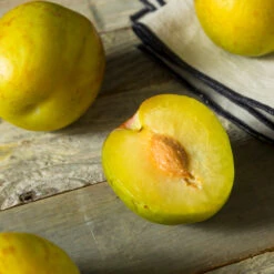 Flavor Queen Pluot® -Lanscapes Store Flavor Queen Pluot 2