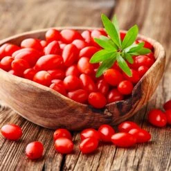 Goji Berry -Lanscapes Store Goji Berry 4
