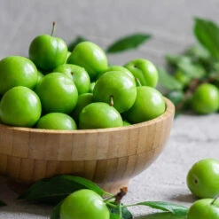 Green Gage Plum -Lanscapes Store Green Gage Plum 2