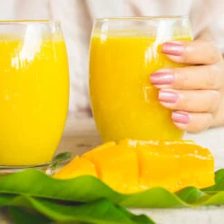 Ice Cream Mango Tree 12 Ice Cream Mango Tree -Lanscapes Store Ice Cream Mango 4