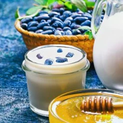 Indigo Gem Haskap (Honeyberry) 9 Indigo Gem Haskap (Honeyberry) -Lanscapes Store Indigo GEm Haskap 1