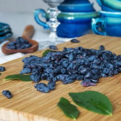 Indigo Treat Haskap (Honeyberry) -Lanscapes Store Indigo Treat Hascap 2 BB