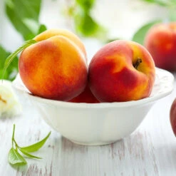 June Gold Peach Tree -Lanscapes Store June Gold peaches 4