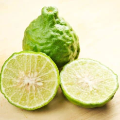 Kaffer 'Kieffer' Lime Tree -Lanscapes Store Kaffir Lime 7 FGT