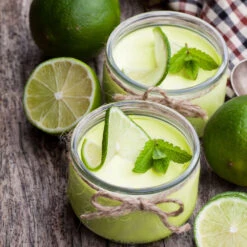 Key Lime Tree -Lanscapes Store Key Lime Tree 4 FGT