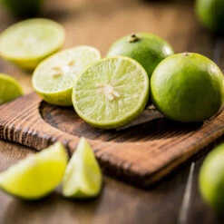 Key Lime Tree -Lanscapes Store Key Lime Tree 5 FGT