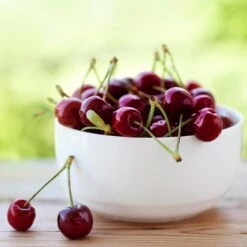 Lapins Cherry Tree -Lanscapes Store Lapins Cherry Tree 2 FGT 325a18e6 7143 4729 a41b b0d9614909b8