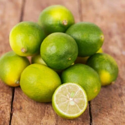 Limequat Citrus Tree 9 Limequat Citrus Tree -Lanscapes Store Limequat 4 FGT