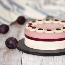 Methley Plum Tree -Lanscapes Store Methley Plum 5 d1cf4da0 c7c8 4a54 8dce 9916c07f2fa6