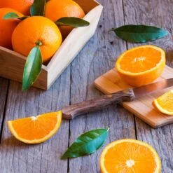 Midknight Valencia Orange 10 Midknight Valencia Orange -Lanscapes Store MidKnight Orange 3 FGT