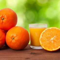 Midknight Valencia Orange 11 Midknight Valencia Orange -Lanscapes Store MidKnight Valencia Orange 3