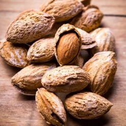 Nonpareil Almond Tree -Lanscapes Store Nonpareil Almonds 3