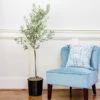 Oliana Olive Tree -Lanscapes Store Oliana Olive 600x600 6f3a3c9f e168 44ff aa92 eb7e474a89dc