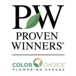 Sprinter® Boxwood Shrub -Lanscapes Store PW Logo CC 1000x1000 c7e5005e 0826 4154 86ed def94c16a032