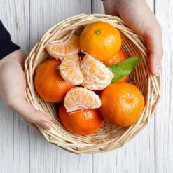 Page Mandarin Tree -Lanscapes Store Page Mandarin Tree 2 FGT