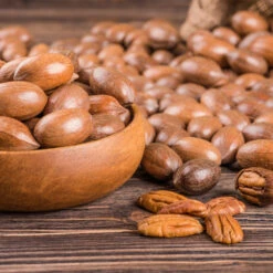 Pawnee Pecan Tree -Lanscapes Store Pawnee Pecan 4 FGT