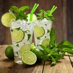 Persian 'Bearss' Lime Tree - USDA Organic -Lanscapes Store Persian Lime Tree 4 FGT 3e2376b1 dd45 4777 a1e5 8c0e252ea773