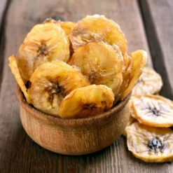 Puerto Rican Plantain Banana Tree -Lanscapes Store Puerto Rican Plantain Banana Tree 8