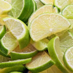 Persian 'Bearss' Lime Bush -Lanscapes Store Pursian Lime Bush 1 FGT 8e948345 4f0b 4e96 a96f a17b7b31b7ab