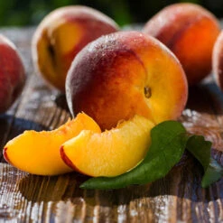 Red Baron Peach Tree 11 Red Baron Peach Tree -Lanscapes Store Red Baron Peach 4