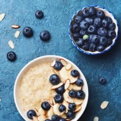 Reveille Blueberry Bush -Lanscapes Store Reville Blueberry 2