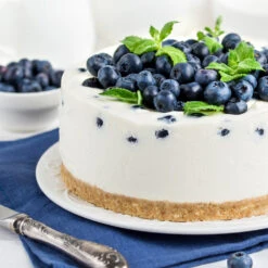 Sunshine Blue Blueberry Bush 9 Sunshine Blue Blueberry Bush -Lanscapes Store SUnshine BLue Blueberry 4