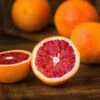 Sanguinelli Blood Orange Tree -Lanscapes Store Sanguinelli Blood Orange FGT 600x600 7a7de938 a6c5 4521 84f8 c031e9f36cc2